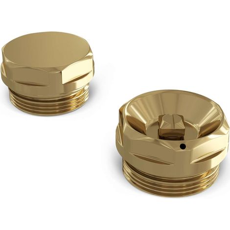 Talus - Radiator Bleed Valve & Blanking Plug Polished Brass (1/3)