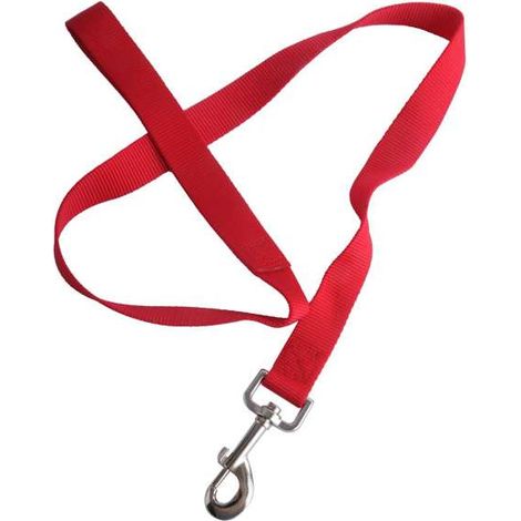 Guinzaglio Cani Nylon Mm 15 Cm 100 Ilcampo 07637