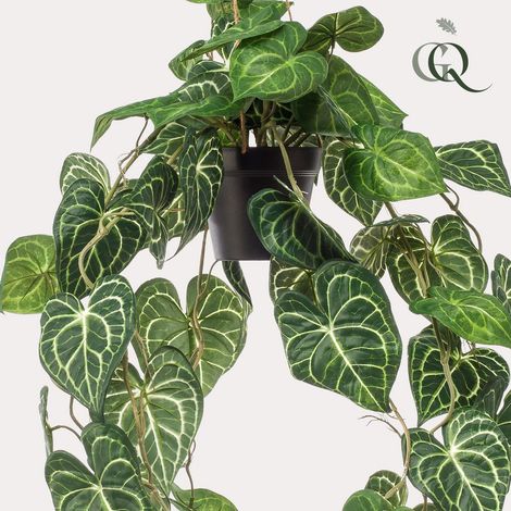 Plante Artificielle Suspendue Anthurium Clarinervium avec Pot de Suspension 80 cm - PANGIVO (1/5)
