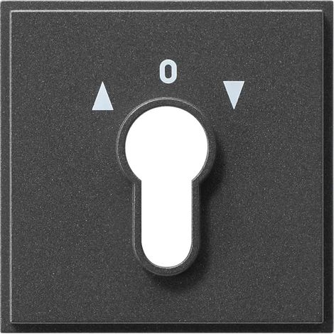 Gira Abd. Schlüsselschalter/-taster Gira TX44 (WG UP) Anthrazit 066467 (1/2)