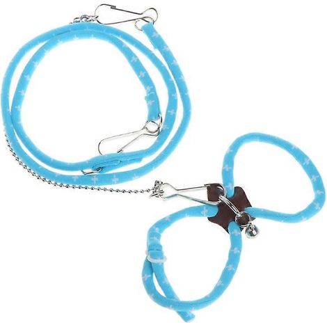Laisse de chien ajustable extensible, corde de traction automatique pour promenade, longe rétractable pour chien, accessoire pratique de promenade. (1/4)