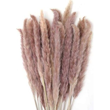 Pair 30 Stück Pampasgras, 60 cm natürlicher, getrockneter Pampasblumenstrauß für Vasen, Boho-Dekoration für Schlafzimmer, Wohnzimmer, Hochzeit, Fotoshooting, Tischdekoration