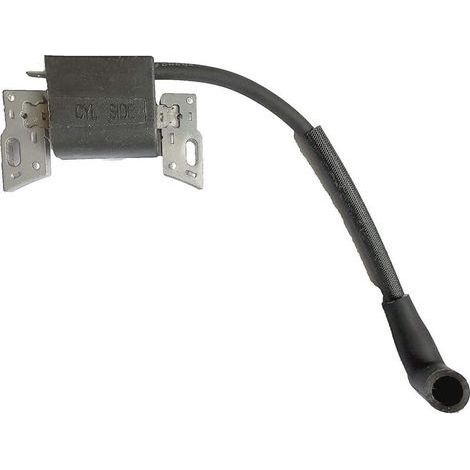 798534 799582 593872 593381 Magnetanker passend für Briggs & Stratton 84005272 Motorzündspulen (1/4)