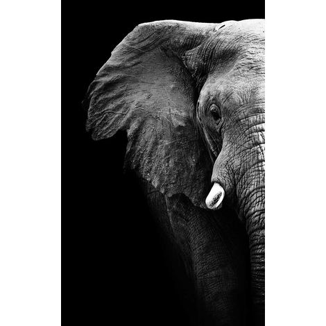 Tableau animaux portrait artistique elephant noir et blanc - 50x80 cm (1/5)