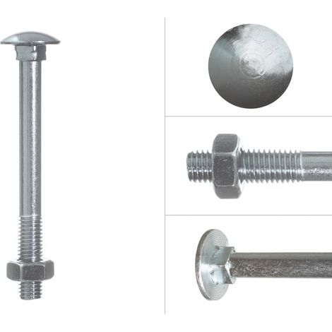 Schlossschrauben Verzinkt M10 x 100 mm - 100 Stück