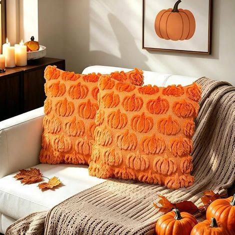 Housse de Coussin 45x45 cm Housses de Coussin Taie d'oreiller en Fausse Fourrure Housses de Coussins (Orange) (1/5)