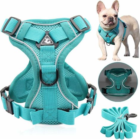 Puppy Harness for Small Dog, No Pull Dog Harness and Lead Set with Handle Adjustable Chest Padded, Reflective Easy Control co.ukont Clip Puppy Harness Outdoor Training Walking (XL) (1/5)