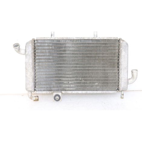 [PRODUIT D'OCCASION] RADIATEUR PIAGGIO SUPER LX 125 2000 - 2003 (1/5)