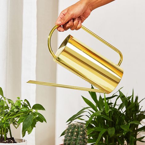 Arrosoir à long bec en acier inoxydable, vaporisateur en métal, arroseur de jardin, 1500 ml, doré (1/5)