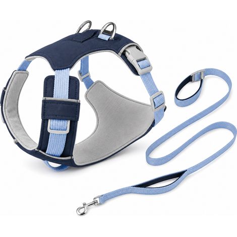 Équipement de promenade pour chien bleu marine avec laisse S