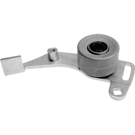 3RG 13253 RODILLO TENSOR