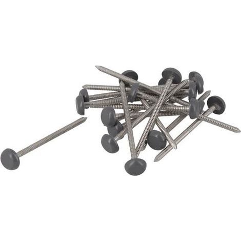 Boîte 100 clous inox tête anthracite 65mm - NICOLL - CI65A (1/2)