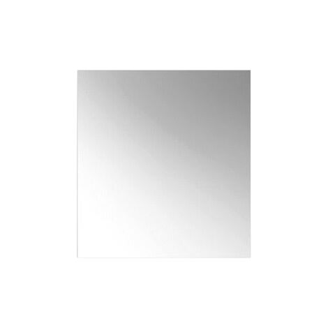 Espejo de cristal HEWI 600 x 650 mm