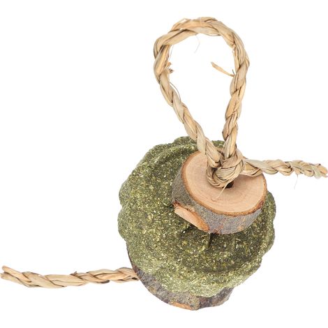 Jouets à mâcher pour lapin, Hamster, bâtons en bois de pommier, gâteaux d'herbe, molaire pour le meulage des dents (1/5)