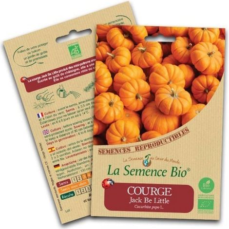 Graines bio Courge Jack Be Little - La Semence Bio