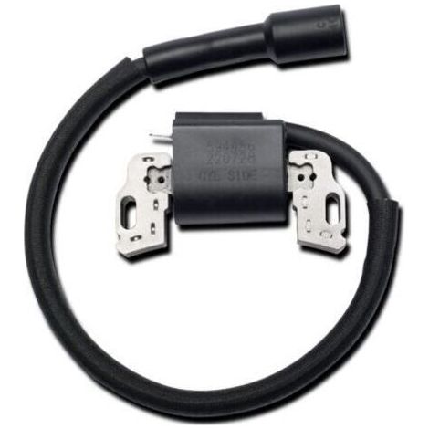 BUNTHAUS 594626 594456 795315 592841 Zündspule, Generatorteile für Benzingenerator, Zündspule für Rasenmähermotor (1/5)