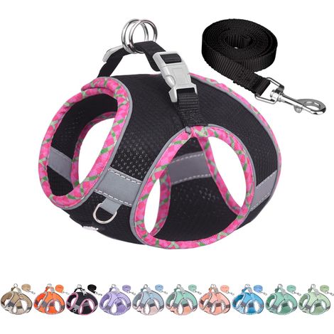 Ensemble Harnais et Laisse pour Chien, Harnais Anti-Traction pour Chiot avec Maille Super Respirante, Essentiels pour Chiots pour Petits Chiens, Chats Noir XS (1/5)