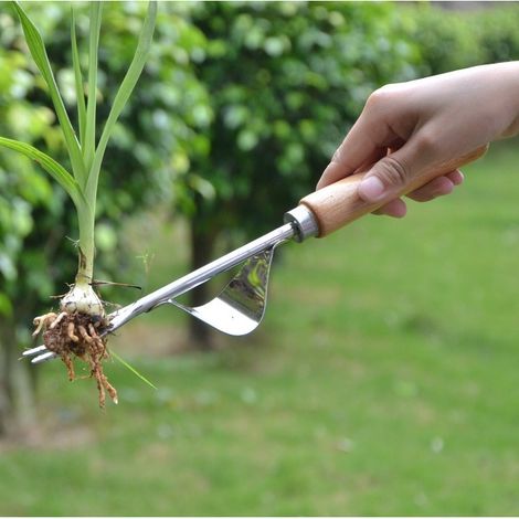 2 pièces d'outil de jardinage en acier inoxydable Fourche à Désherbage Dispositif pour Désherber et Désserrer le Sol, Manche en Bois avec Trou Rond pour un Rangement Facile, Outil Manuel de Désherbage (1/4)