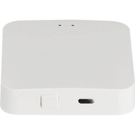 Ökosystemspezifisches 2,4-GHz-Bluetooth/WLAN-Gateway – Unterstützt bis zu 20 gleichzeitige Verbindungen – Lieferumfang