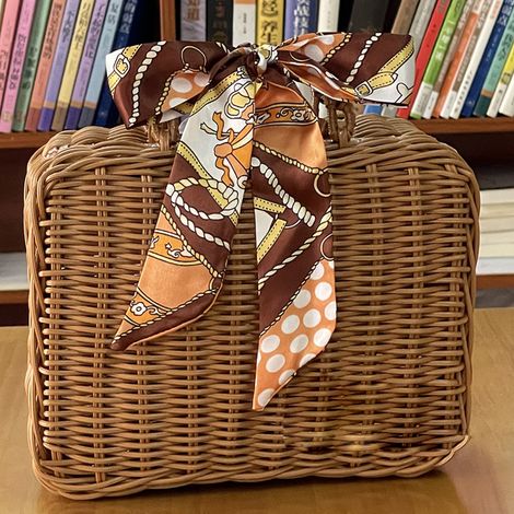 Boîte de rangement vintage artisanale en imitation rotin tressé, idéale pour le maquillage, les voyages, les pique-niques et autres petits objets. Panier de rangement pour bagages et autres articles d (1/5)