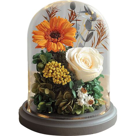 Fleurs de tournesol naturelles éternelles sous cloche en verre, pour la fête des enseignants, un anniversaire, un mariage ou Noël. (1/5)