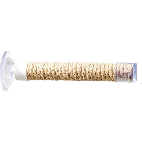 Perchoir à ventouse pour oiseaux  Support à ventouse portable et sûr, perchoir naturel pour fenêtre d'oiseau  pour cacatoès, ara, inséparables, cage intérieure ou extérieure, clôture, bain, voiture (1/5)