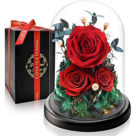 Rose Éternelle Rouge sous Cloche I Cadeau pour Noel, Saint-Valentin pour Femmes I Fleur Préservée avec Éclairage LED I Parfait pour Femme, Épouse, Maman (1/5)