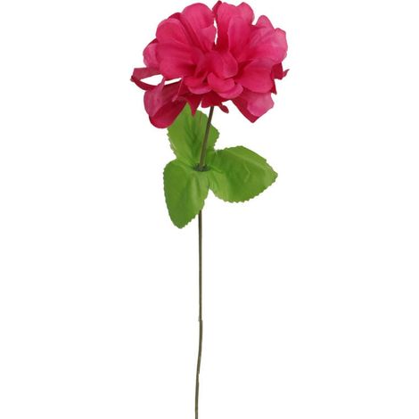 Chrysantheme, einfache Blüte mit rosa Blatt (1/2)