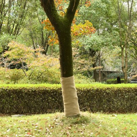 Jute Rolls 2 pcs 1x50 m 100% Jute 200 gsm vidaXL