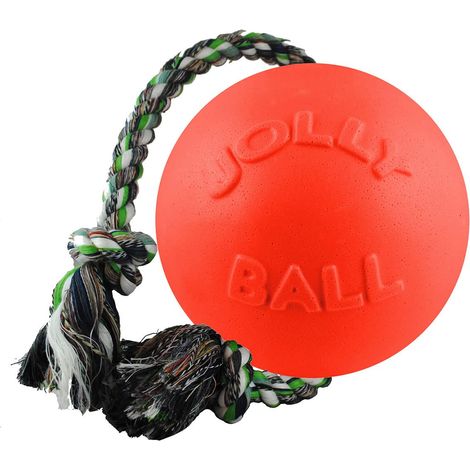 Balle Jouet pour Chien avec Corde, 11,4 cm/Petit Format, Rouge (1/5)