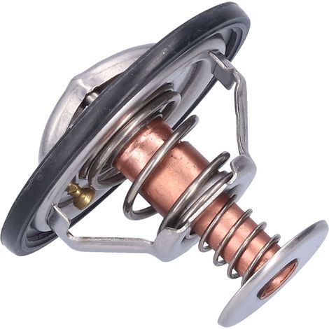Kühlmittelthermostat 9091603089, Ersatzteil für Land Cruiser/Prado (1/5)