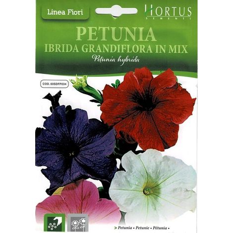 Petunien Ibrida Grandiflora Mix, farbenfroh und pflegeleicht