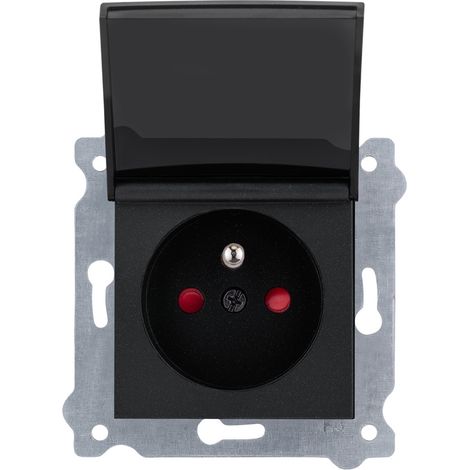 Prise simple 2P+T noir métallique avec clapet de protection bornes à vis 247/01E EXEN (1/3)