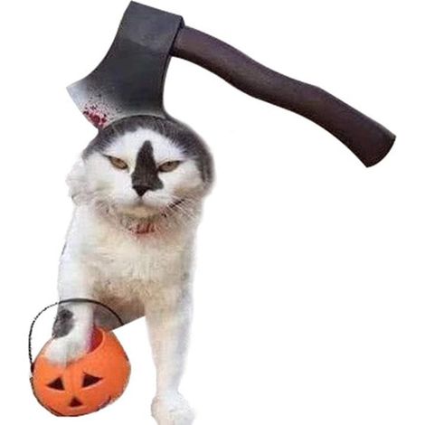 Chiens Halloween Stirnband, lustiges Kostüm pour chats et petit chiens (1/5)