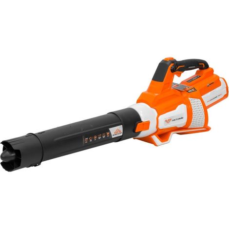 RURIS Souffleur à Batterie VoltX 1264e Brushless 60V 4Ah 1200 m³/h 72 m/s 3 Vitesses Turbo Soft Grip - Avec Batterie et Chargeur (1/5)