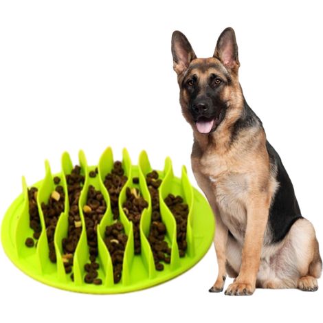 1 gamelle anti-glouton, en TPR sans BPA, diamètre 25,5 cm, hauteur 3 cm, pour chiens de grande race, taille moyenne et chiots (1/5)