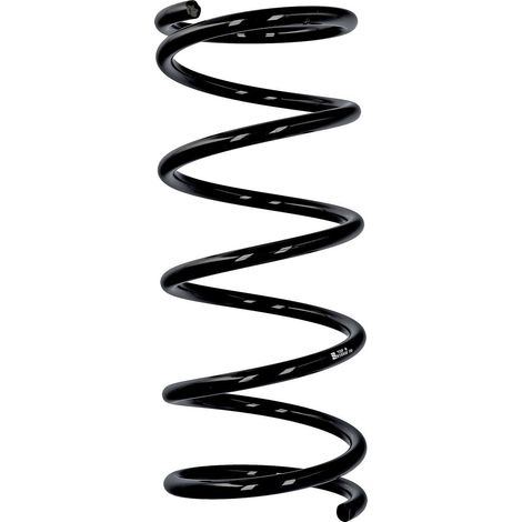 Muelle de serie Eibach ERL Subaru trasero R10930 (1/2)