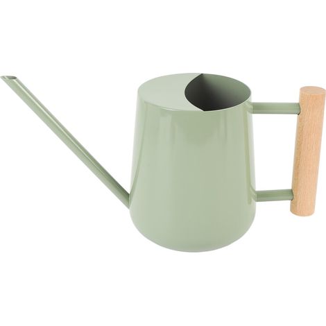 Arrosoir en acier inoxydable avec poignée en bois pour plantes succulentes type 2 (1/5)
