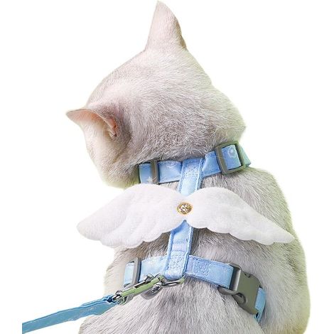 Harnais pour chat avec laisse, motif ailes d'ange, réglable et anti-évasion, doux et confortable, pour chatons et petits chiens, bleu (1/5)