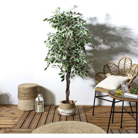 Plante Artificielle - HOME DECO FACTORY - Feuillage Panaché - Vert (1/4)