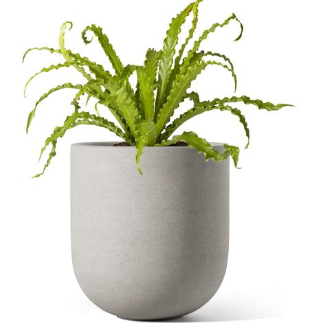 Pot de Fleurs 15 cm, Pot en Céramique avec Trou de Drainage et Bouchon en Caoutchouc, Jardinière d'Intérieur pour Herbes et Petites Plantes, Pot Cylindrique pour Maison et Bureau, Gris (1/5)