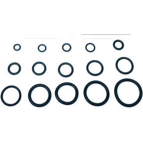 1CF O-RING 13,60X2,70 X CANNA LAVELLO PZ 100
