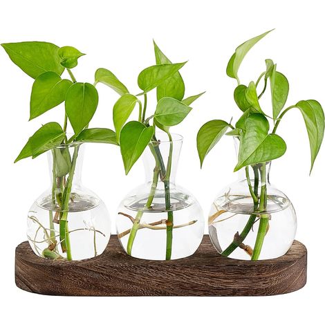Station de Propagation de Plantes de Bureau – Térrarium en Verre avec Plateau en Bois, Vase à Fleurs en Forme d'Ampoule, Idéal pour la Culture Hydroponique, Décoration Maison & Bureau, Cadeau pour Ama (1/5)
