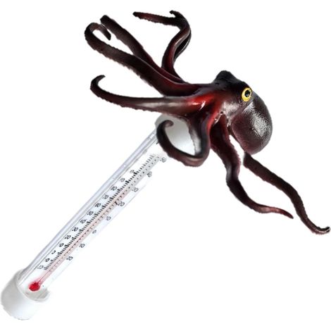Thermomètre Pour Eau  Thermomètre Animaux Dessinés Pour Bains À Remous  Accessoire De Piscine Grand Thermomètre Pour Maison Étang Intérieur Extérieur Spa Source Chaude Baignade Enfamille