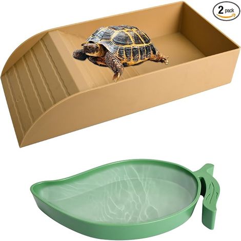 Turtle Bath Basin with Mango Bowl - Terrestrial Accessory, Terrarium Feeder (1/5)