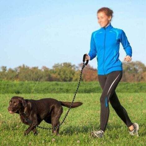 Laisse Chien Enrouleur pour Gros Chien Jusqu'à 50kg, Ruban en Nylon Solide Extensible à 5M, Rétractable avec Coutures réfléchissantes Lumineuses, Frein à Une Main, Pause, Verrouillage (Vert)