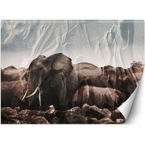 Carta Da Parati, Elefante Africa Animale Natura - 100x70 (1/5)