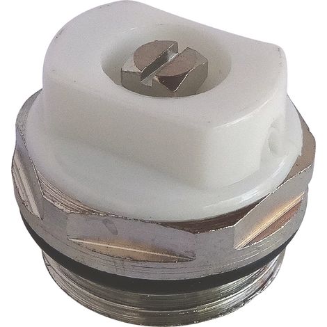 Bouchon Purgeur Orientable M15/21 (1/3)