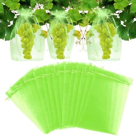 60 sacs de protection pour fruits avec cordon, 20x30cm, filet vert pour arbres fruitiers, fraises, prunes, légumes