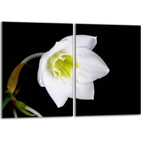 Piastra protettiva in vetro per stufa 2x40x52 Orchidea (1/5)